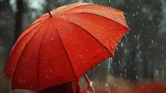 Meteoroloji 4 il için turuncu kod verdi! Kuvvetli yağış uyarısı - 61Gündem