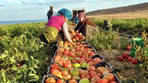 Başvuru Tarihleri Uzatıldı: Çiftçiler İçin Kritik Dönem! - 61Gündem